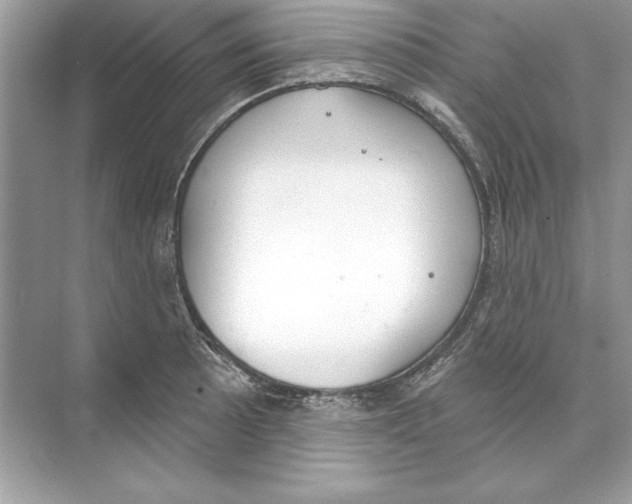 X0000074301089200609222328