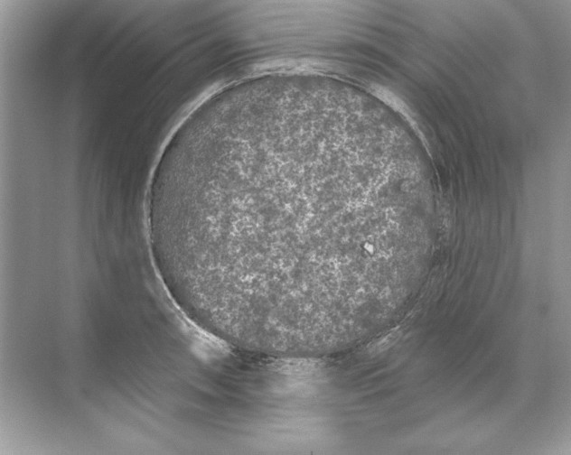 X0000074301090200609222328