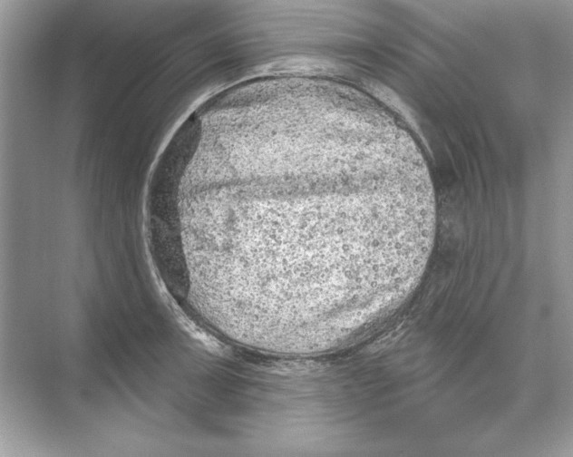 X0000074301091200609222328