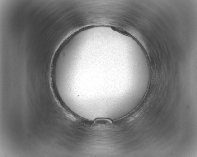 X0000074301093200609222328