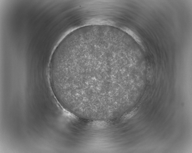 X0000074301094200609222328