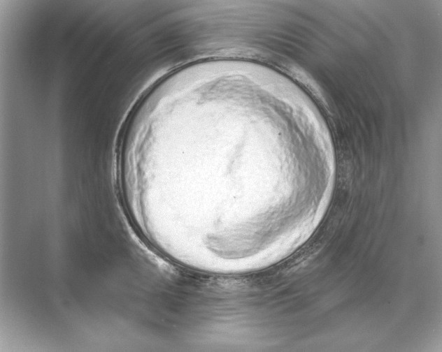 X0000074301095200609222328