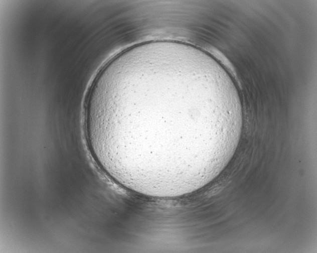 X0000074301096200609222328