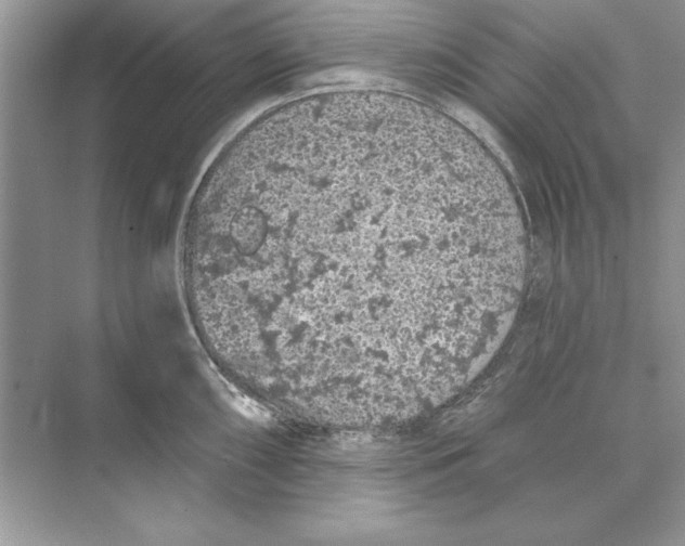 X0000074301098200609222328