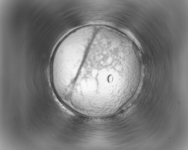 X0000074301100200609222328