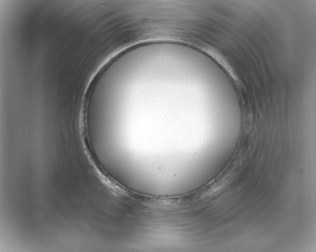 X0000074301101200609222328