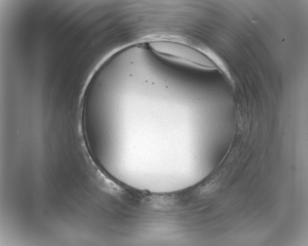 X0000074301102200609222328