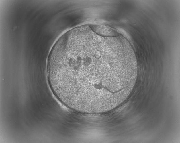 X0000074301103200609222328