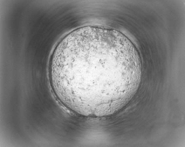 X0000074301104200609222328