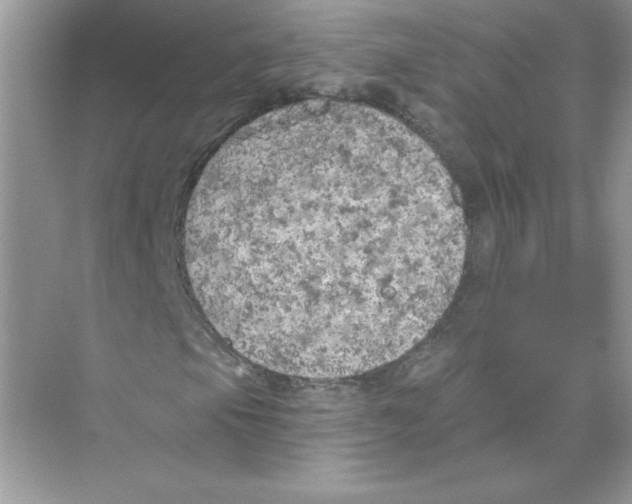 X0000074301105200609222327