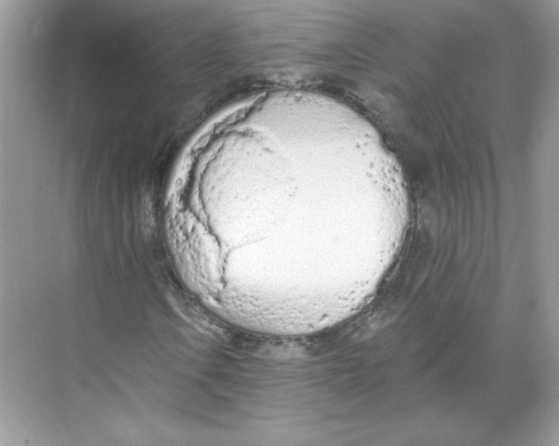 X0000074301106200609222327