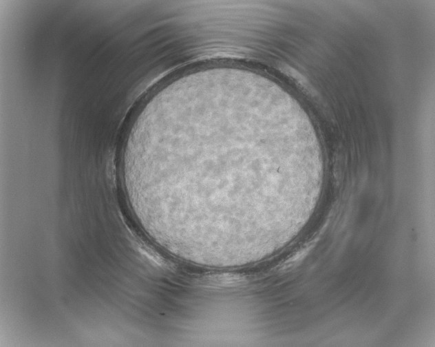 X0000074301113200609222328