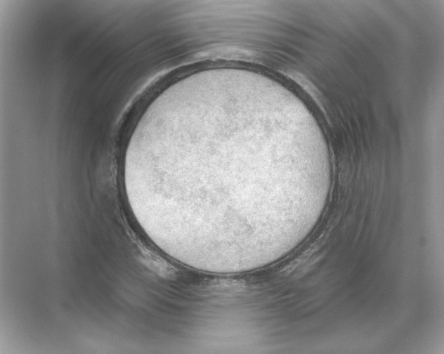 X0000074301115200609222328