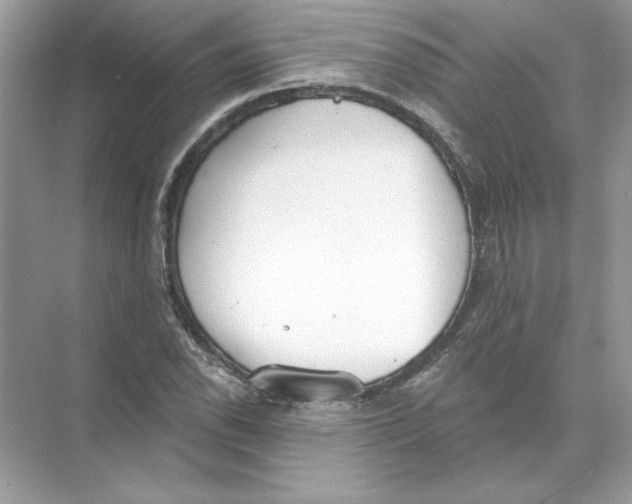 X0000074301118200609222328