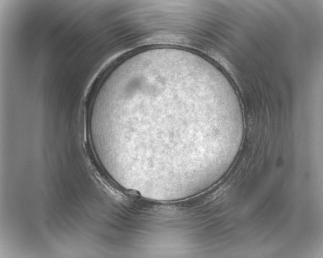 X0000074301123200609222328