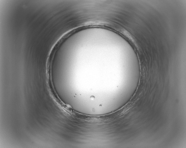 X0000074301124200609222328