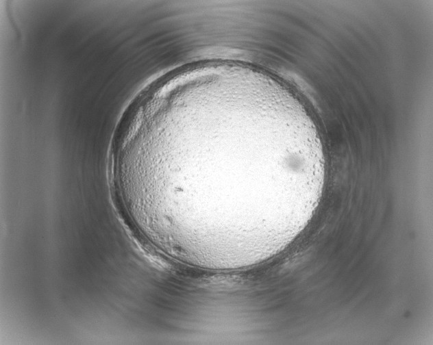 X0000074301125200609222328