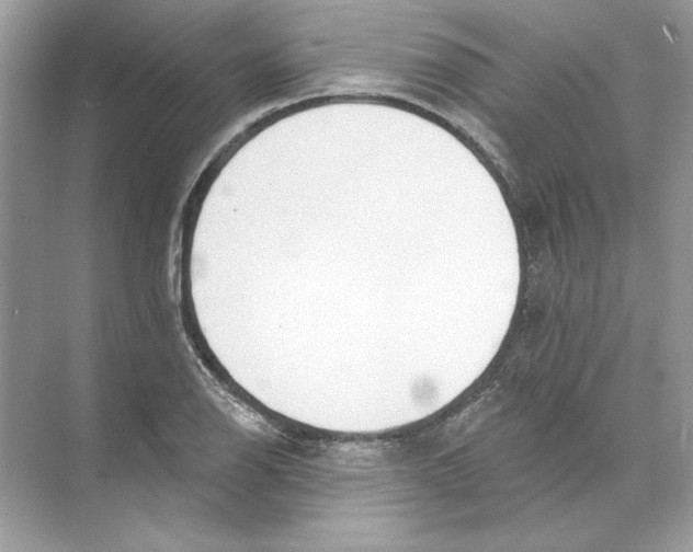 X0000074301126200609222328