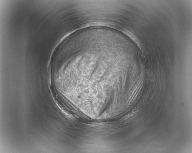 X0000074301127200609222328