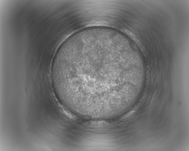 X0000074301129200609222328