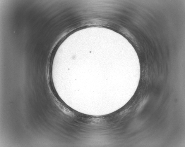 X0000074301130200609222328