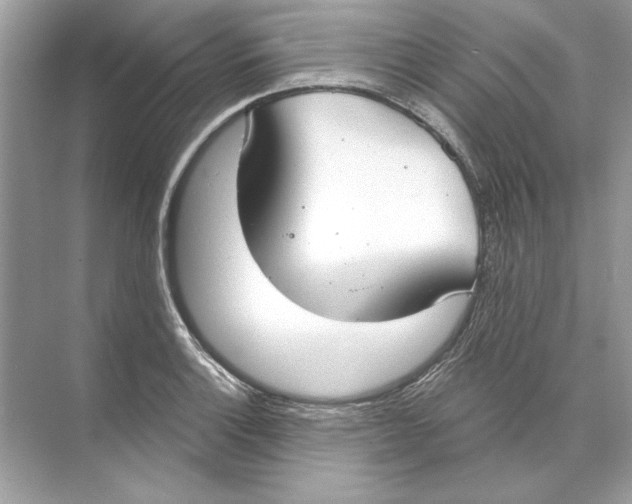 X0000074301132200609222328