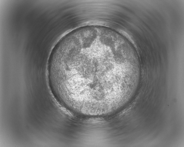 X0000074301133200609222328