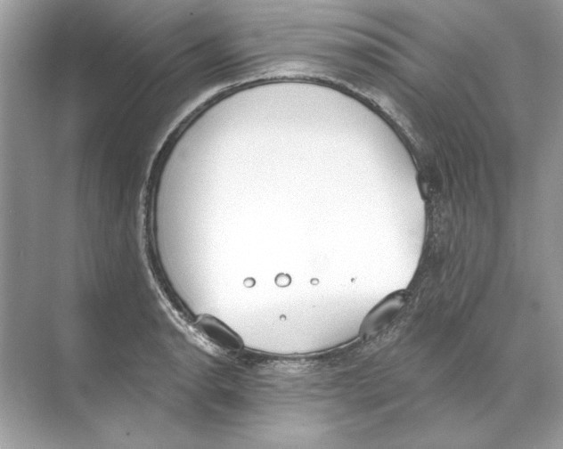 X0000074301134200609222328