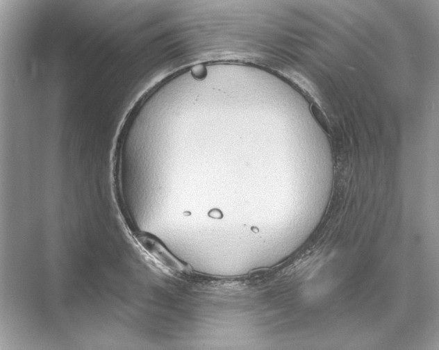 X0000074301135200609222328