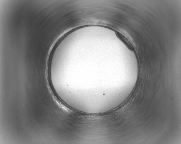 X0000074301136200609222328