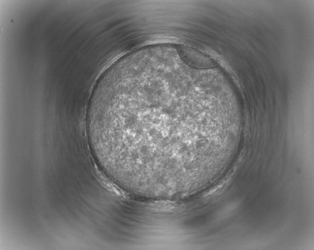 X0000074301137200609222328