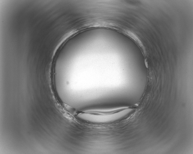 X0000074301138200609222328