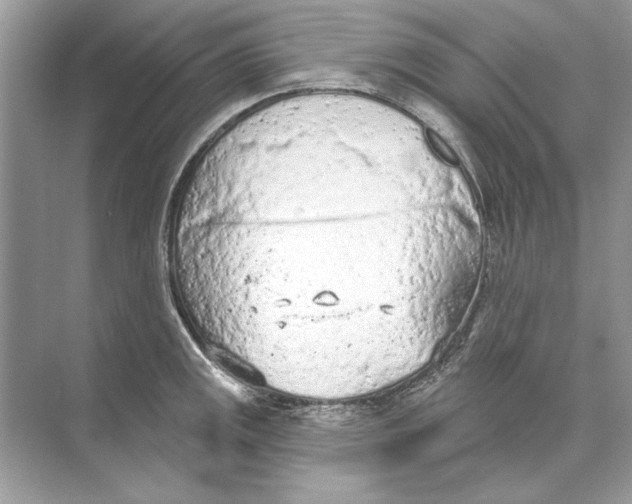 X0000074301141200609222328