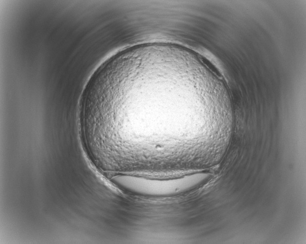 X0000074301142200609222328