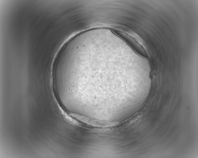 X0000074301143200609222328