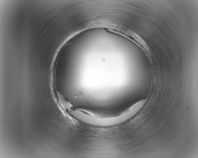 X0000074301144200609222328