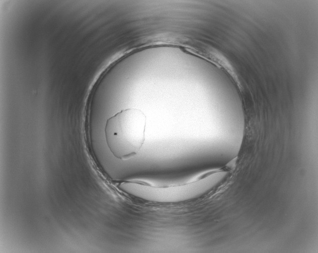 X0000074301146200609222328