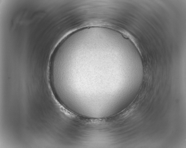 X0000074301147200609222328