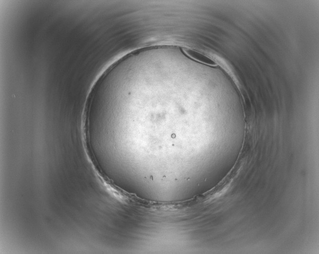 X0000074301149200609222328