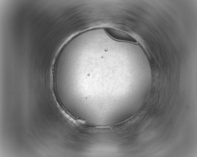 X0000074301151200609222328