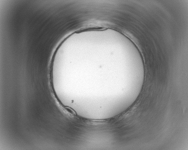 X0000074301152200609222328