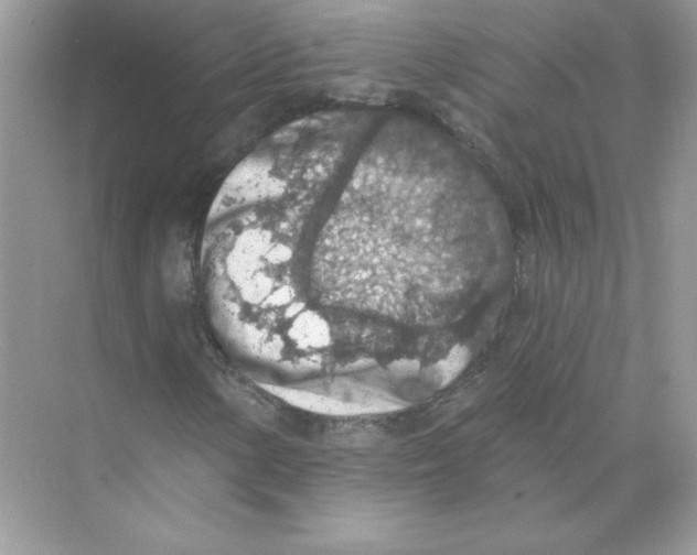 X0000074301154200609222327