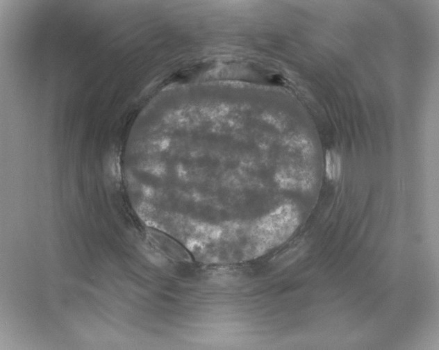 X0000074301155200609222327