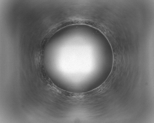 X0000074301157200609222327