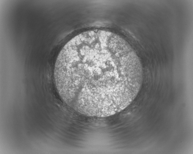 X0000074301158200609222327