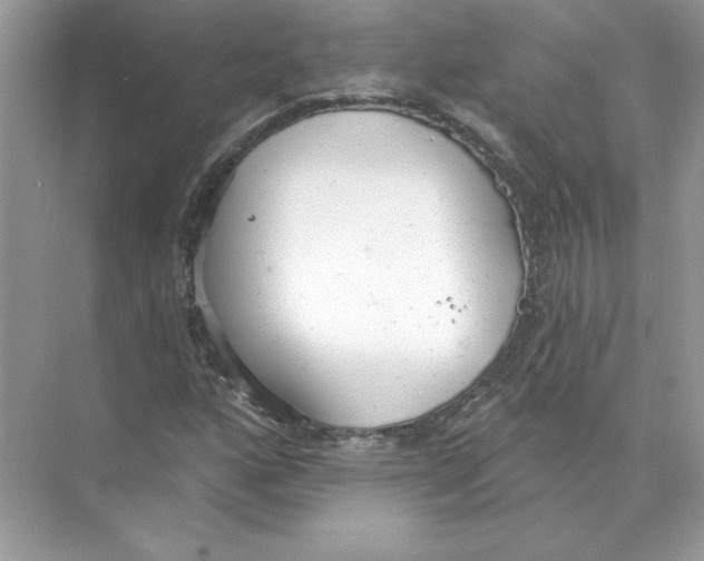 X0000074301160200609222327