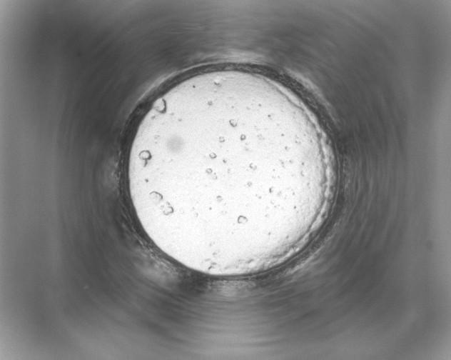 X0000074301163200609222327