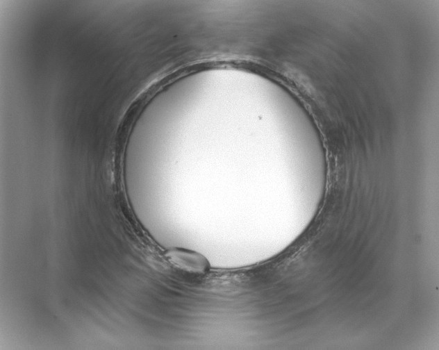 X0000074301165200609222327