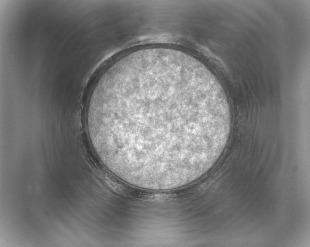 X0000074301166200609222327