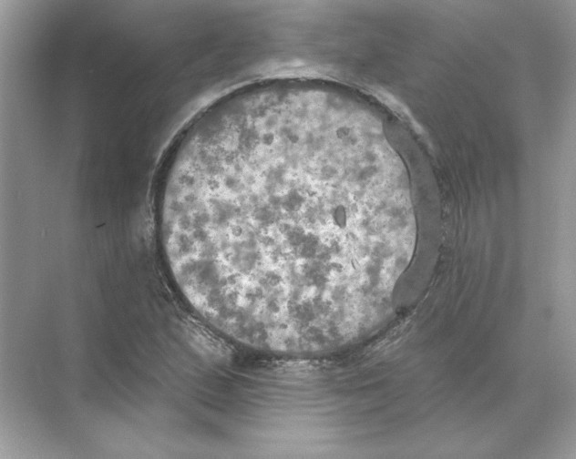 X0000074301167200609222327